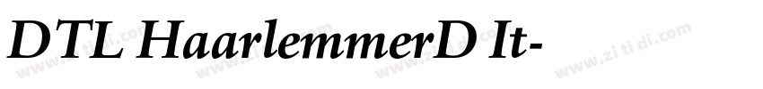 DTL HaarlemmerD It字体转换